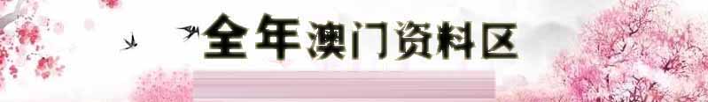 新澳下半场资料